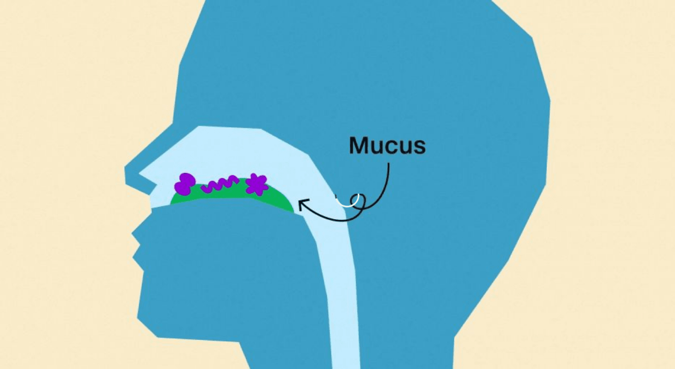 Flu Cases Surge Again in the US as At-Home Tests Debut | CISNewsStudio1s