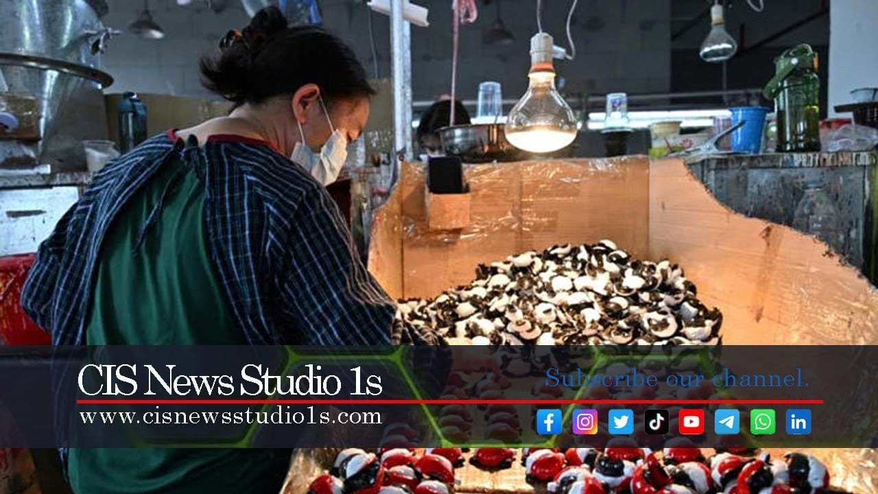 China’s Exporters Resilient Amid US Trade Tariffs | CISNewsStudio1s