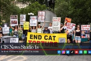 The Global War on Cat Torture for Profit | #CISNewsStudio1s