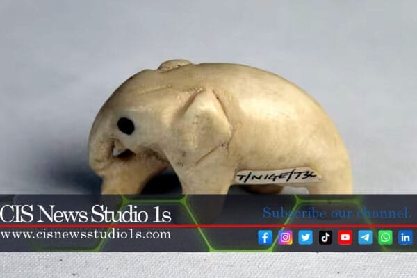 Over 600 Museum Artifacts Stolen in Bristol | CISNewsStudio1s